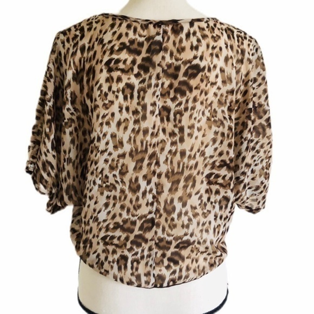 April Leopard Print Chiffon Crop Top - Picture 3 of 4